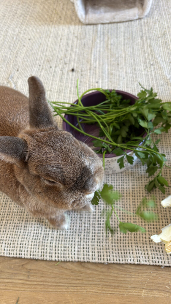 CE7BF37B CEFC 47F6 8693 27B341A16E14